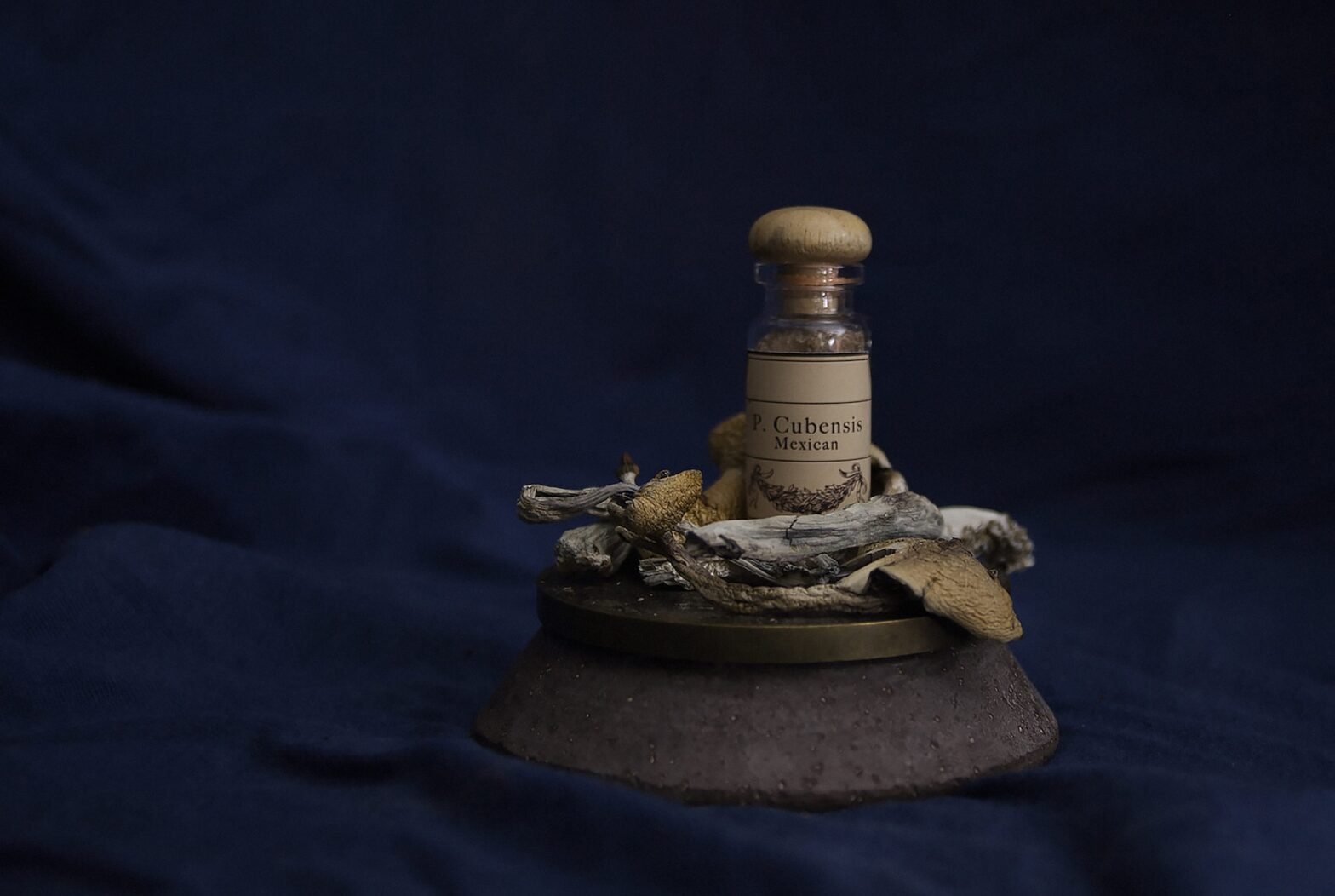 a medical vial labled cubenesis mexican, siting on top of a pile of what appear to be dried mushrooms, on a pendastal, black background