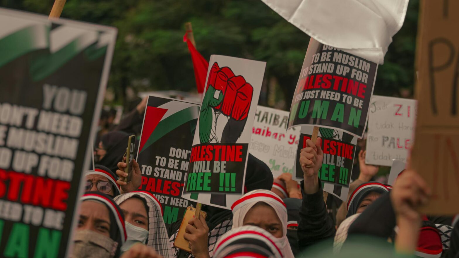 a slightly faded photo of the signs and tops of peoples heads at a pro-Palestine protest