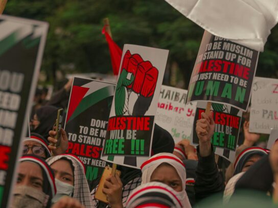 a slightly faded photo of the signs and tops of peoples heads at a pro-Palestine protest
