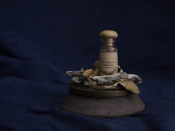 a medical vial labled cubenesis mexican, siting on top of a pile of what appear to be dried mushrooms, on a pendastal, black background