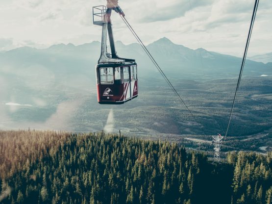 A mountain lift rises from right to left over a forest